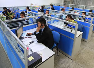 深圳市福尔康数码经销批发部公司简介